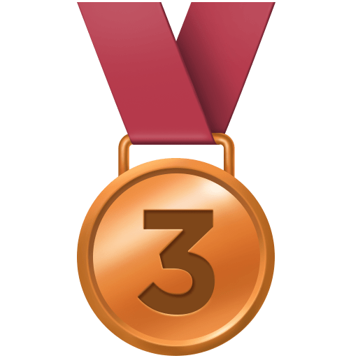 3rd Place Medal for Facebook 16.0