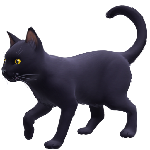 Чорний кіт для Facebook 16.0