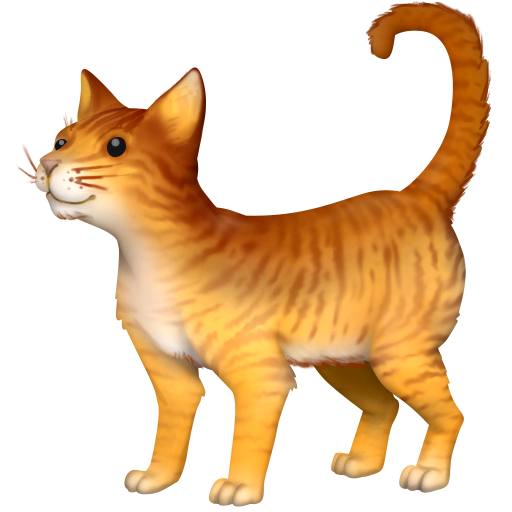 Кішка для Facebook 16.0