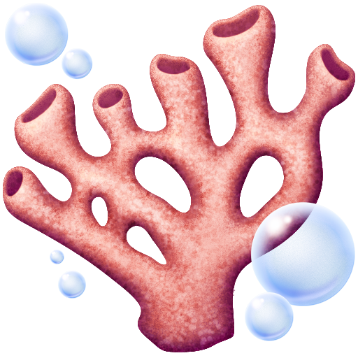 第珊瑚号为第Facebook 16.0号