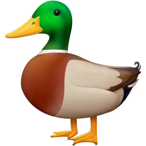 Canard pour Facebook 16.0