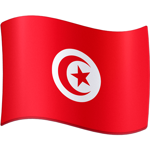 第旗: 突尼斯号为第Facebook 16.0号