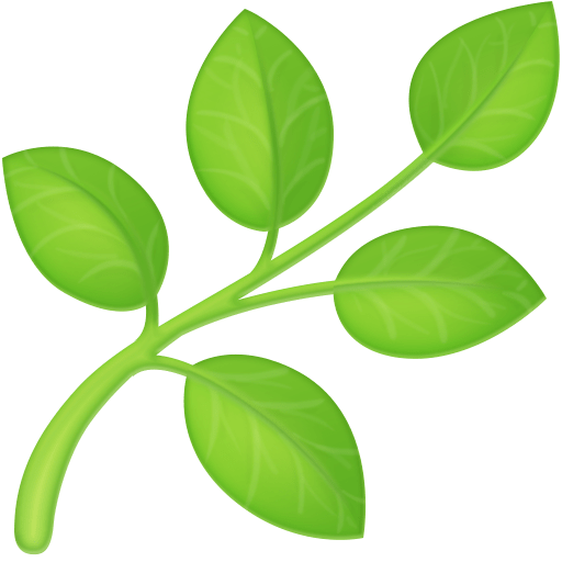 Feuille pour Facebook 16.0