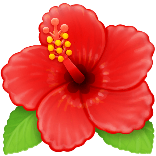 Hibiscus pour Facebook 16.0