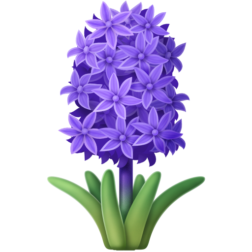 Jacinto para Facebook 16.0