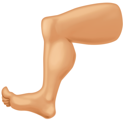 Perna: Pele Morena Clara para Facebook 16.0