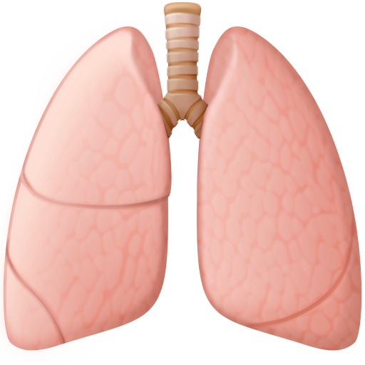 Легені для Facebook 16.0