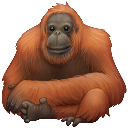 Орангутанг для Facebook 16.0
