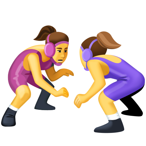 Mulheres Lutando para Facebook 16.0