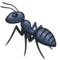 Formiga