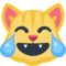 Rosto De Gato Com Lágrimas De Alegria