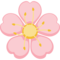 Flor De Cerejeira