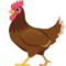 Galinha