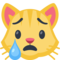 Rosto De Gato Chorando