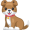 Cachorro
