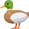 Pato
