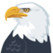 Águia