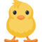Pintinho De Frente
