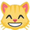 Rosto De Gato Sorrindo Com Olhos Sorridentes
