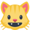 Rosto De Gato Sorrindo