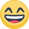 Rosto Risonho Com Olhos Sorridentes