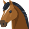 Rosto De Cavalo