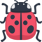 Joaninha
