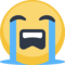 Rosto Chorando Aos Berros