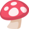 Cogumelo