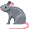 Rato