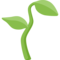 Muda De Planta