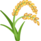 Planta De Arroz