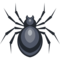 Aranha