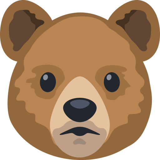 Rosto De Urso
