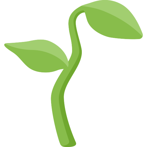 Muda De Planta
