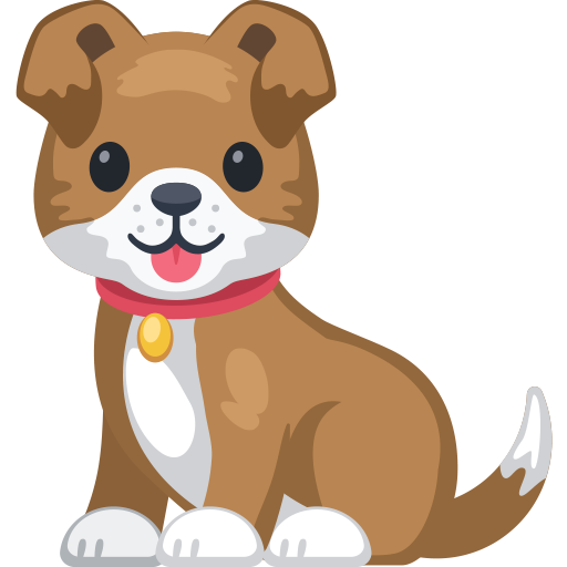 Cachorro