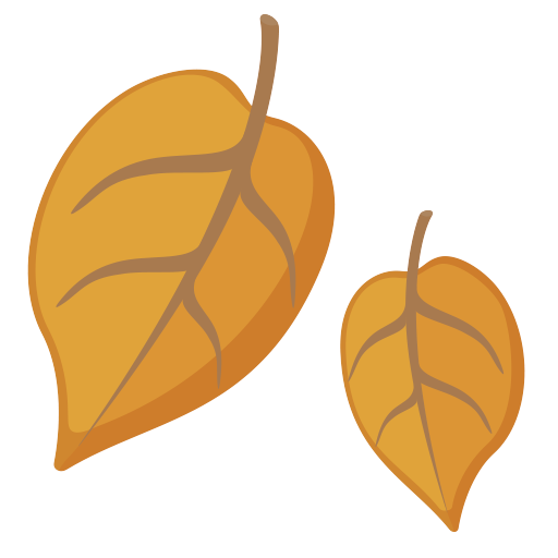 Folhas Caídas