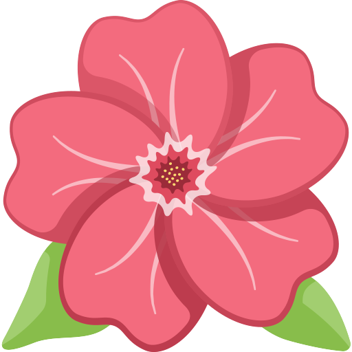 Hibisco