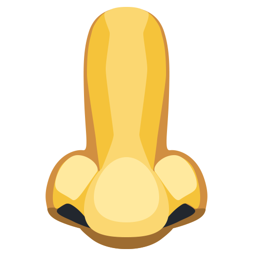 Nariz