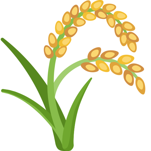 Planta De Arroz