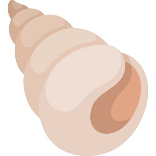 Concha Espiral
