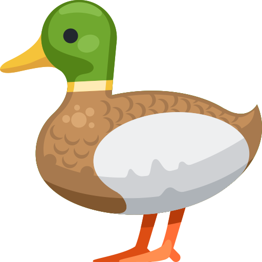 Pato