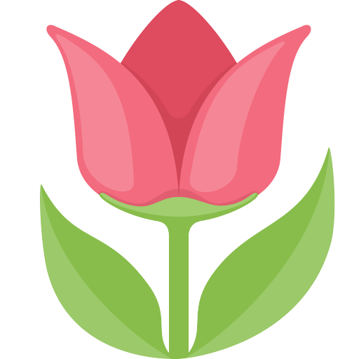 Tulipa