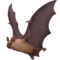 Netopýr Netopýr