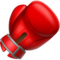 Boxerské rukavice Boxerské rukavice