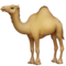 Velbloud Velbloud