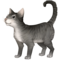 Kočka Kočka