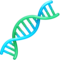 DNA DNA