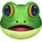Žába Žába