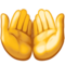 Obě dlaně nahoru Obě dlaně nahoru